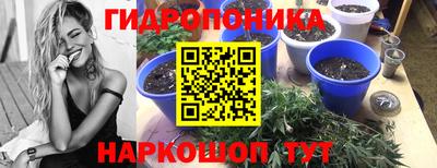 метадон Заводоуковск