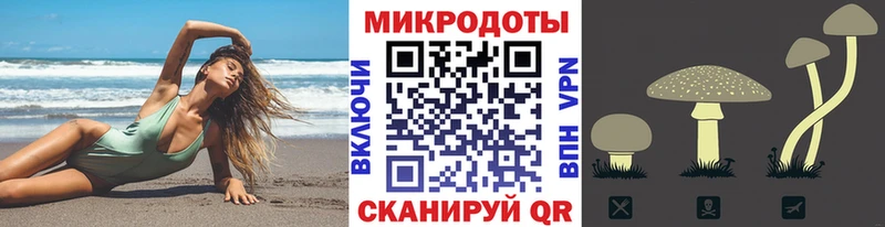 Псилоцибиновые грибы Cubensis  kraken как зайти  Уссурийск 