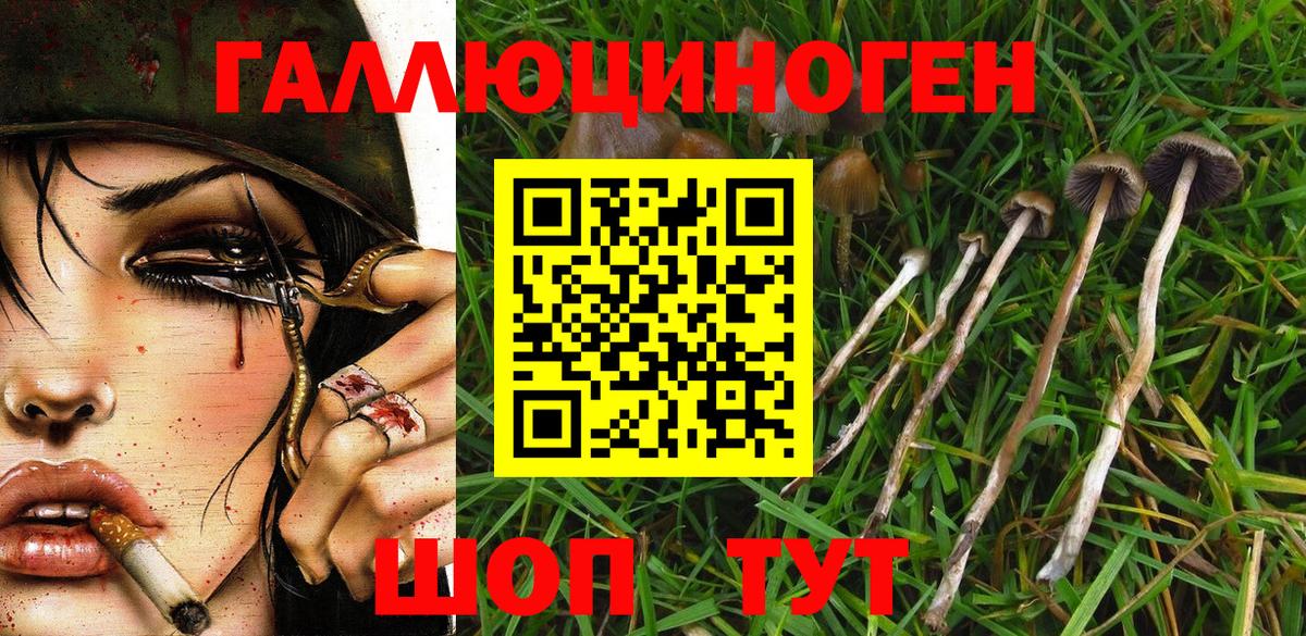 Псилоцибиновые грибы Psilocybine cubensis  Вход с VPN  купить  цена  Уссурийск 